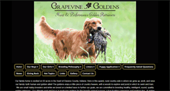 Desktop Screenshot of grapevinegoldens.com